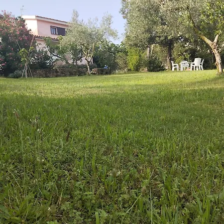 In Bruno * אולביה