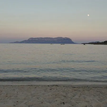 In Bruno